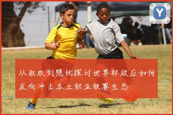 从狂欢到隐忧探讨世界杯效应如何反向冲击本土职业联赛生态