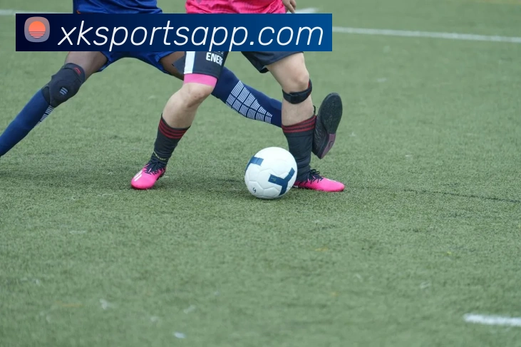 App Interface Preview